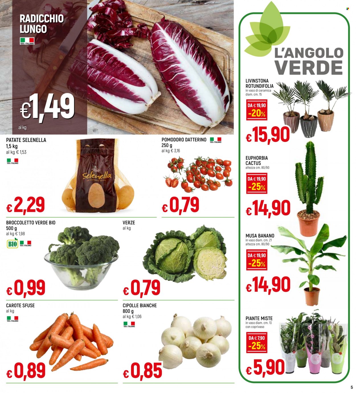 thumbnail - Volantino Famila - 2/2/2023 - 15/2/2023 - Prodotti in offerta - patate, carote, cipolla, radicchio, pomodorini, cipolla bianca, coprivaso. Pagina 5.