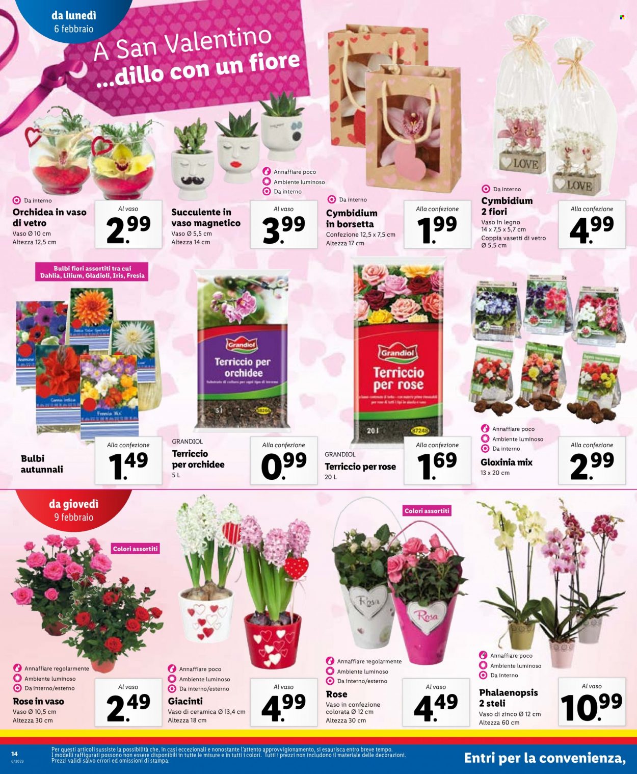 Volantino Lidl - 6/2/2023 - 12/2/2023. Pagina 14