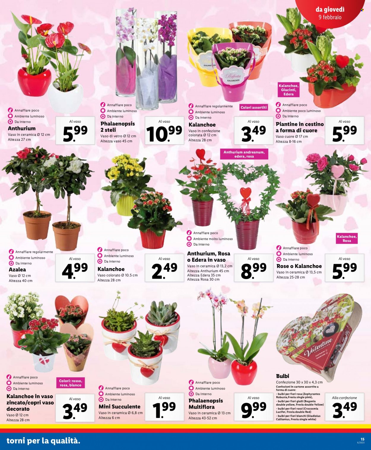 Volantino Lidl - 6/2/2023 - 12/2/2023. Pagina 15