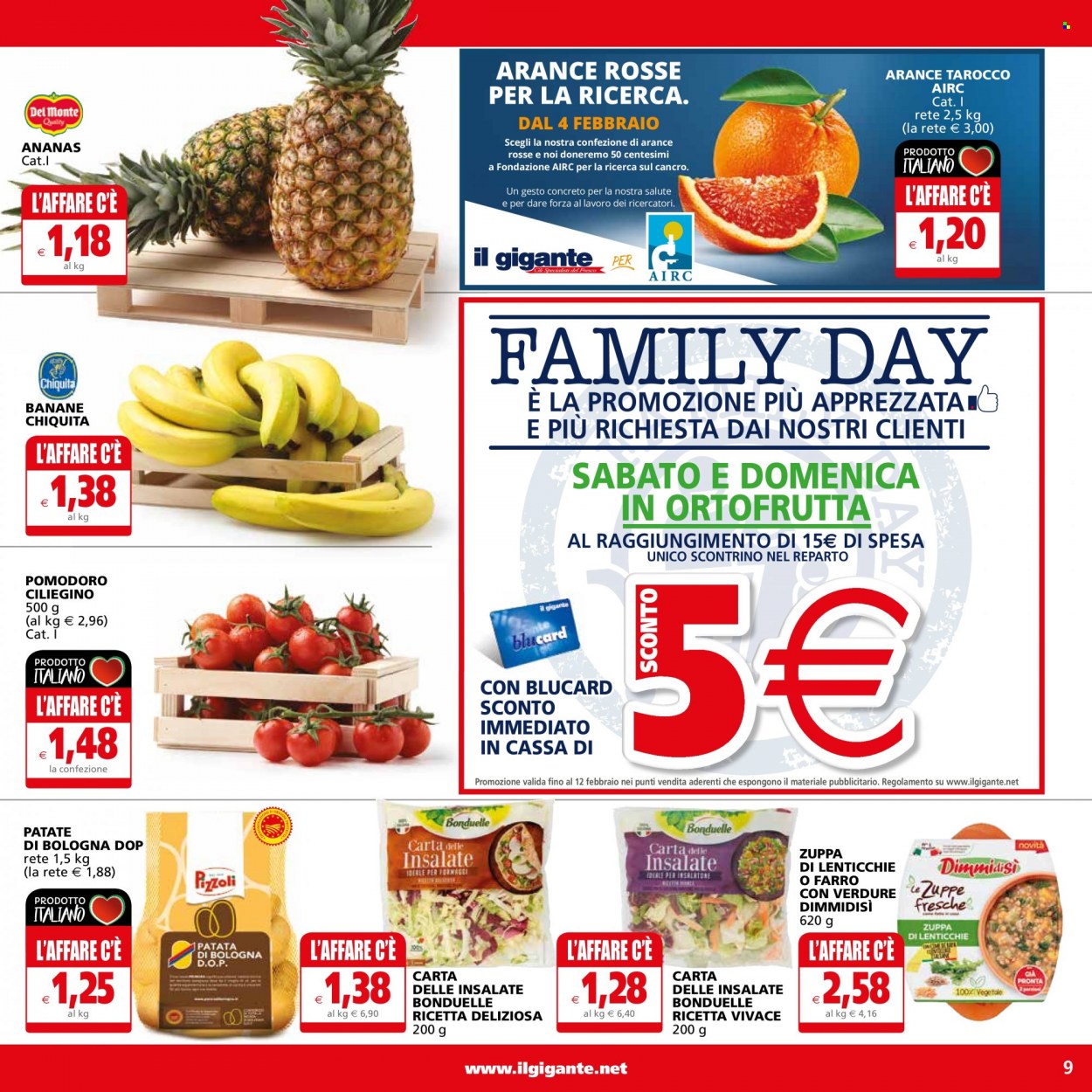 Volantino Il Gigante - 2/2/2023 - 11/2/2023. Pagina 9