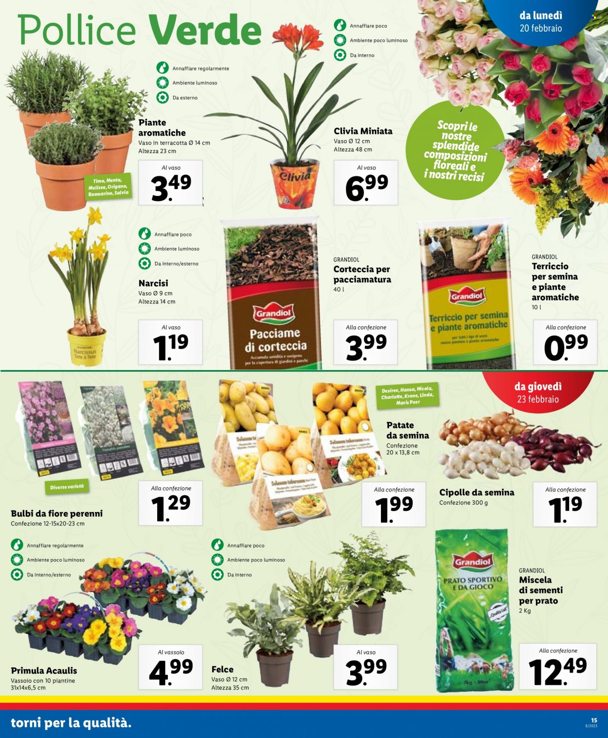 Volantino Lidl - 20/2/2023 - 26/2/2023. Pagina 15