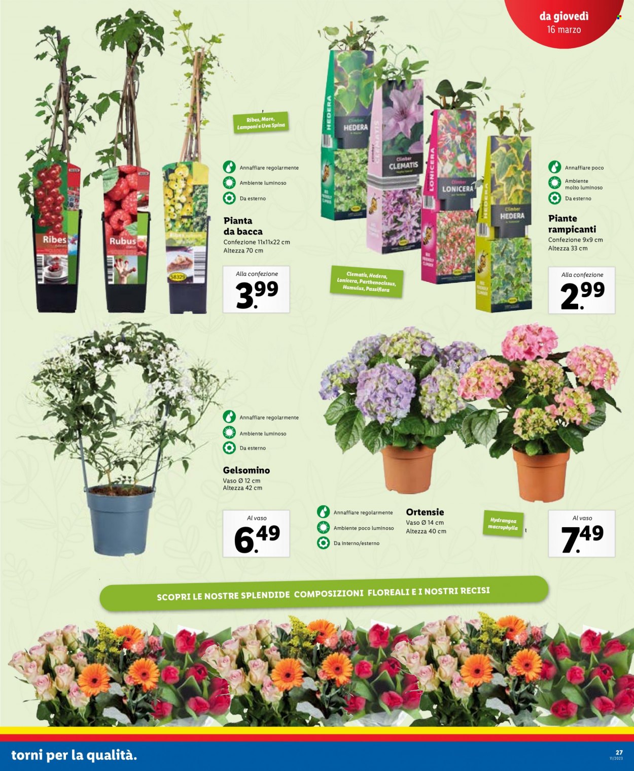 Volantino Lidl - 13/3/2023 - 19/3/2023. Pagina 27
