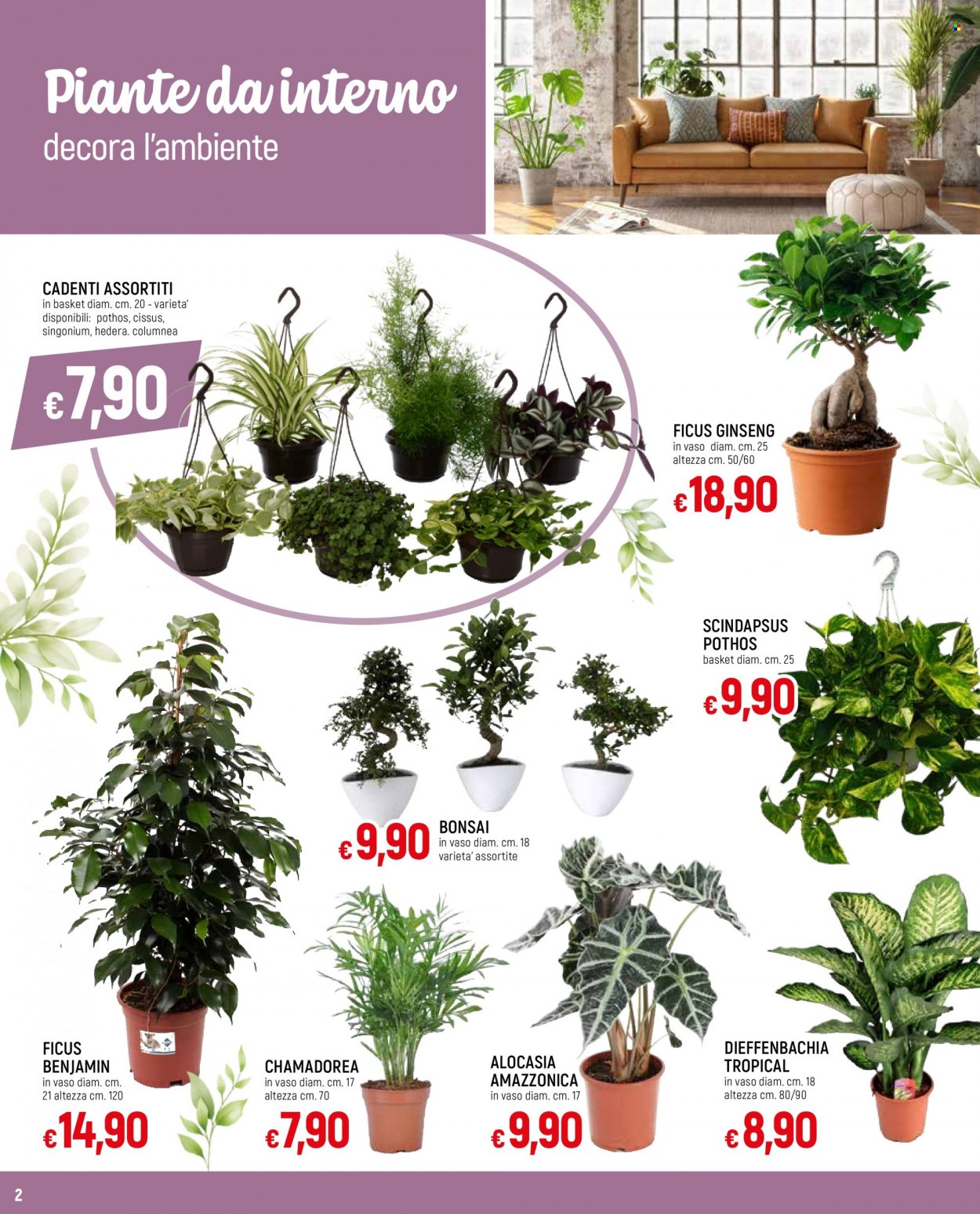 thumbnail - Volantino Famila - 16/3/2023 - 10/4/2023 - Prodotti in offerta - bonsai. Pagina 2.