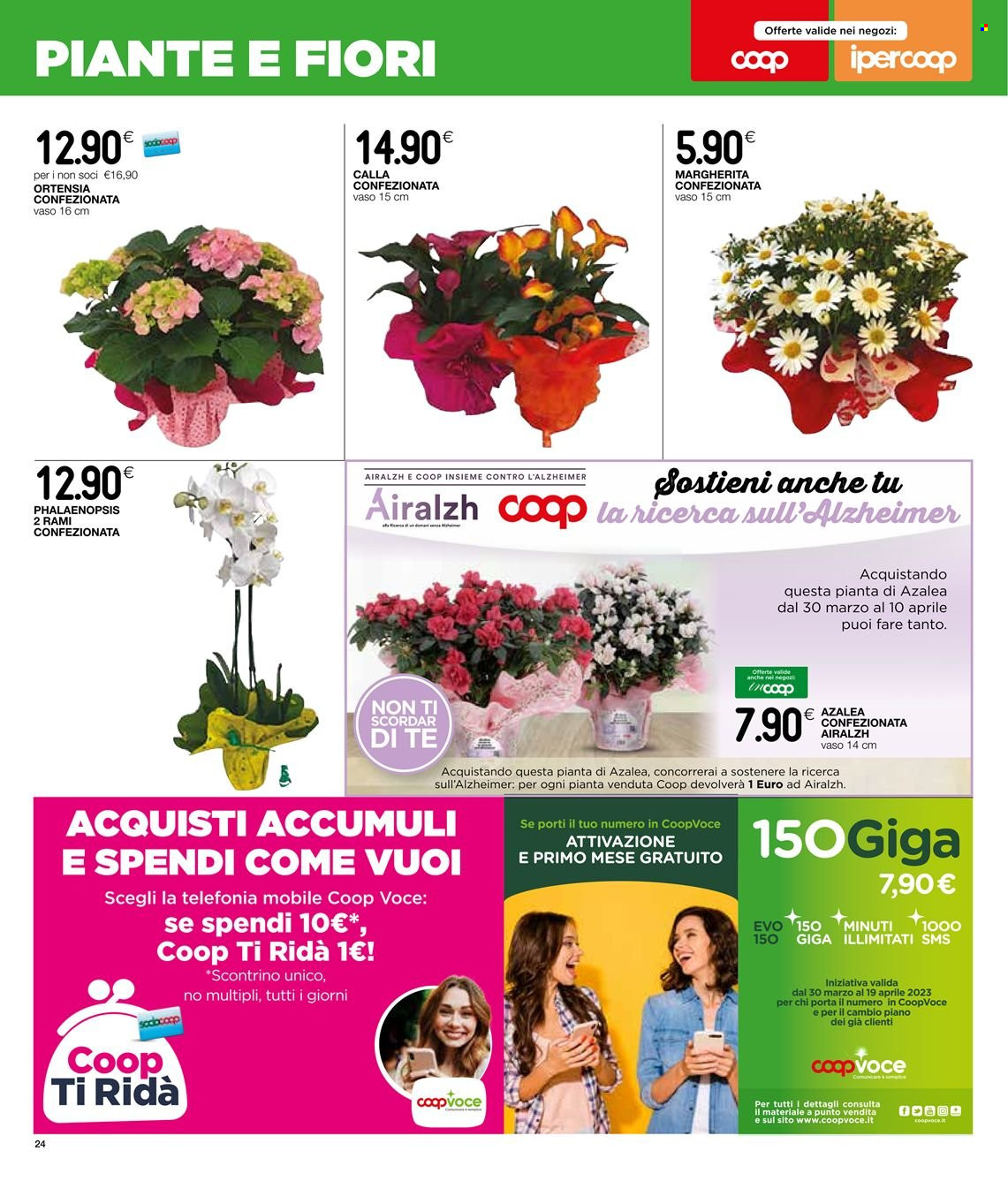 Leták Coop - 30.3.2023 - 12.4.2023. Strana 26