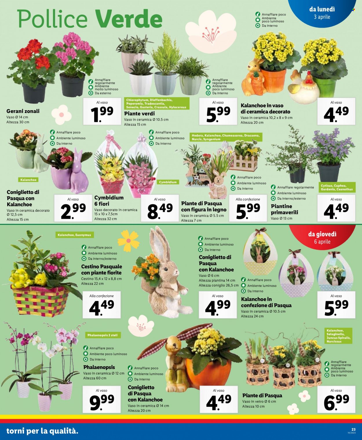 Volantino Lidl - 3/4/2023 - 8/4/2023. Pagina 23