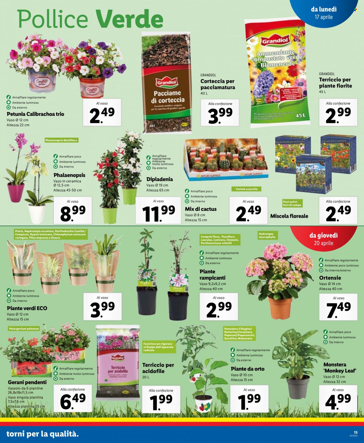 Volantino Lidl - 17/4/2023 - 23/4/2023. Pagina 15