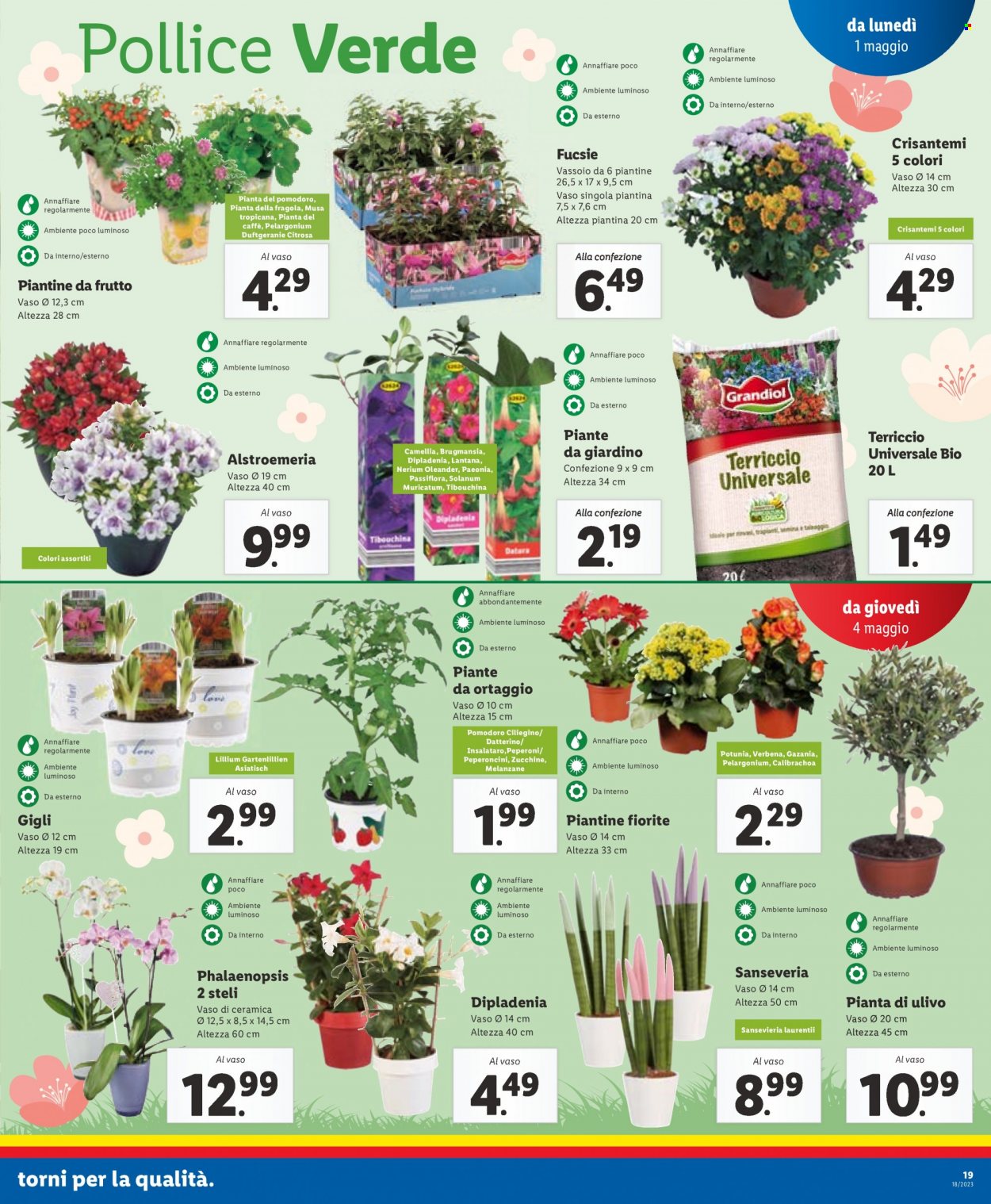 Volantino Lidl - 1/5/2023 - 7/5/2023. Pagina 19