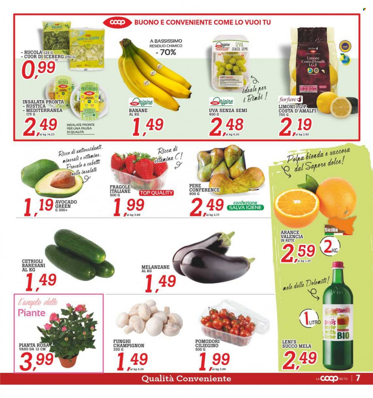 Leták Coop - 26.4.2023 - 5.5.2023. Strana 13