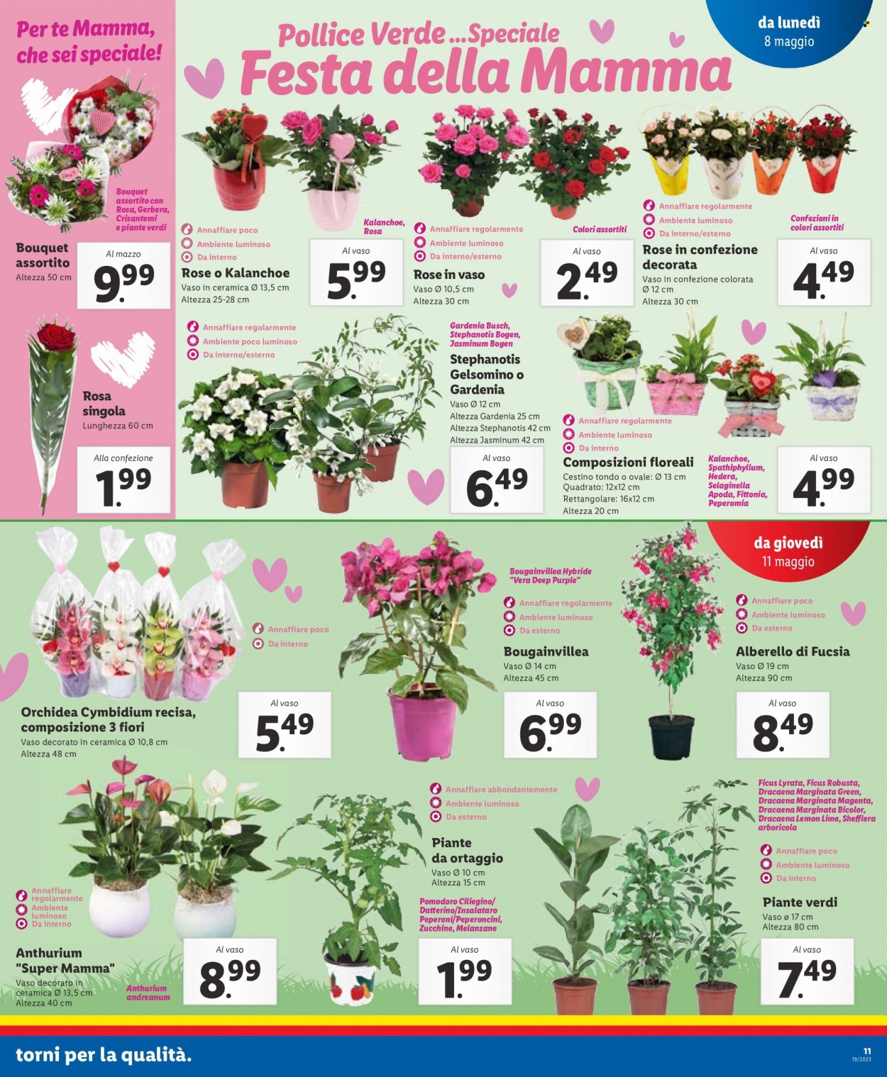 Volantino Lidl - 8/5/2023 - 14/5/2023. Pagina 11