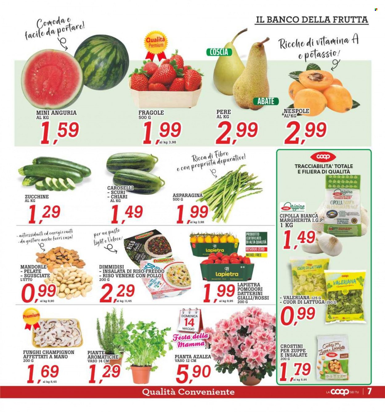 Leták Coop - 9.5.2023 - 18.5.2023. Strana 13