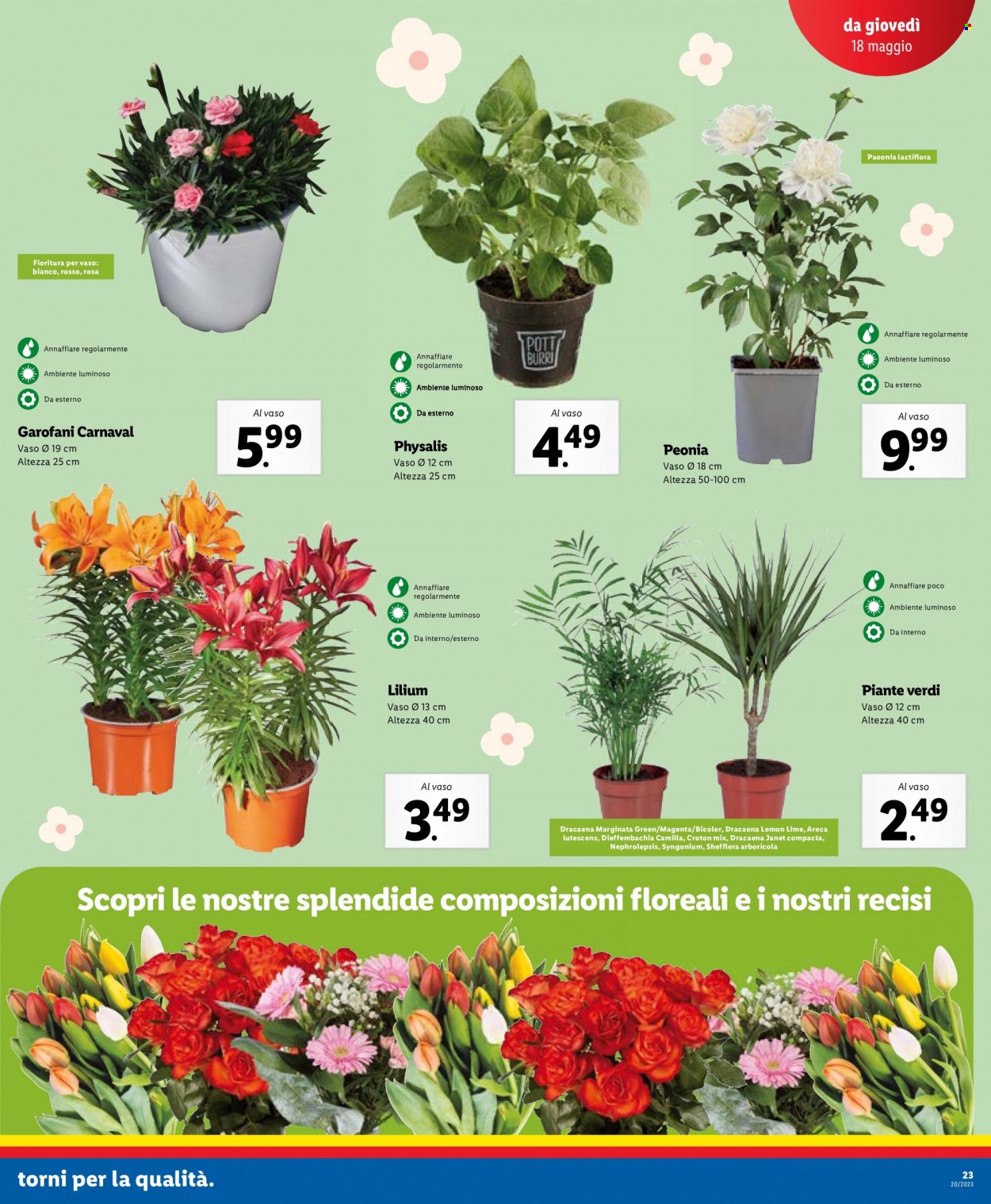 Volantino Lidl - 15/5/2023 - 21/5/2023. Pagina 23