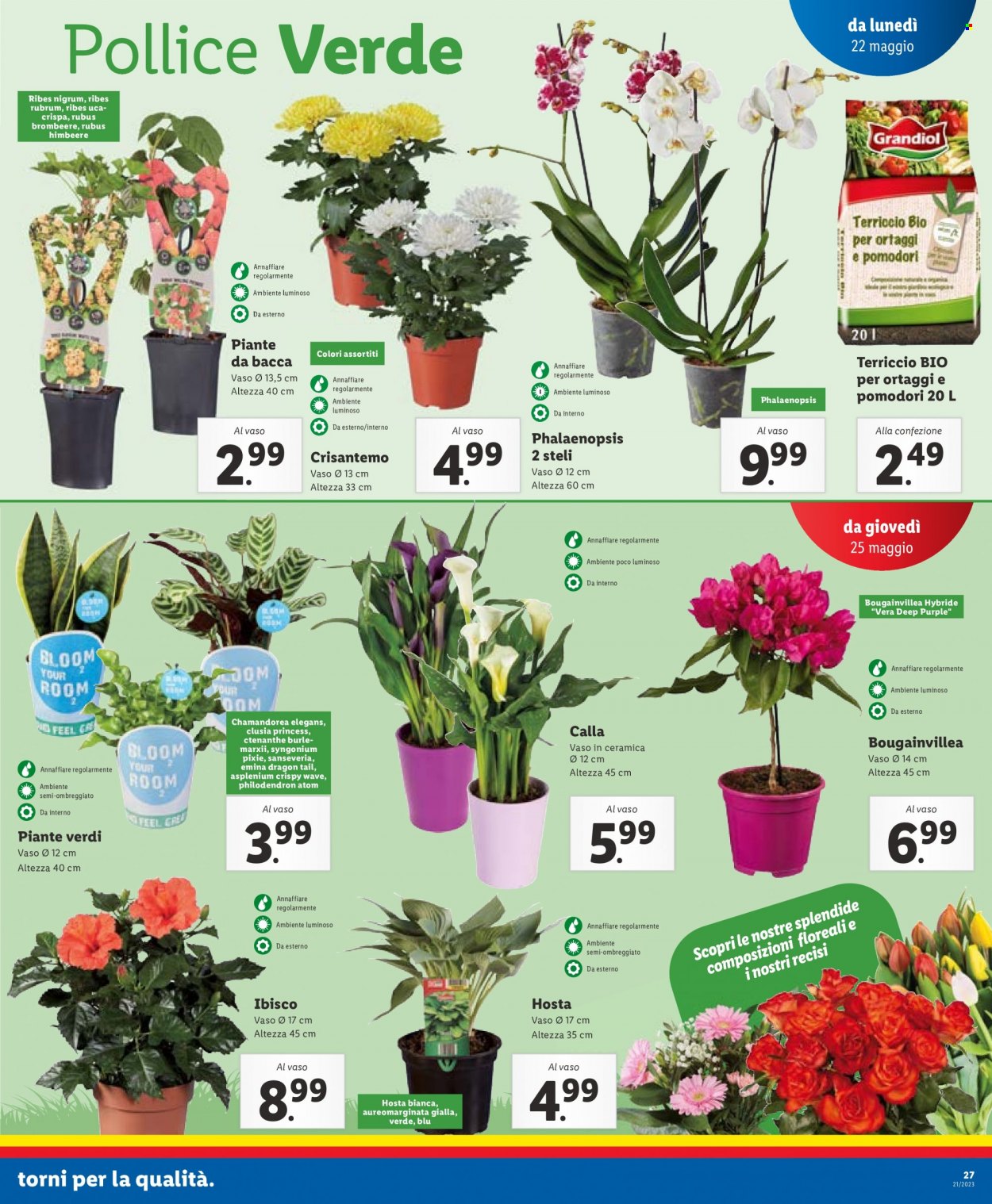 Volantino Lidl - 22/5/2023 - 28/5/2023. Pagina 17