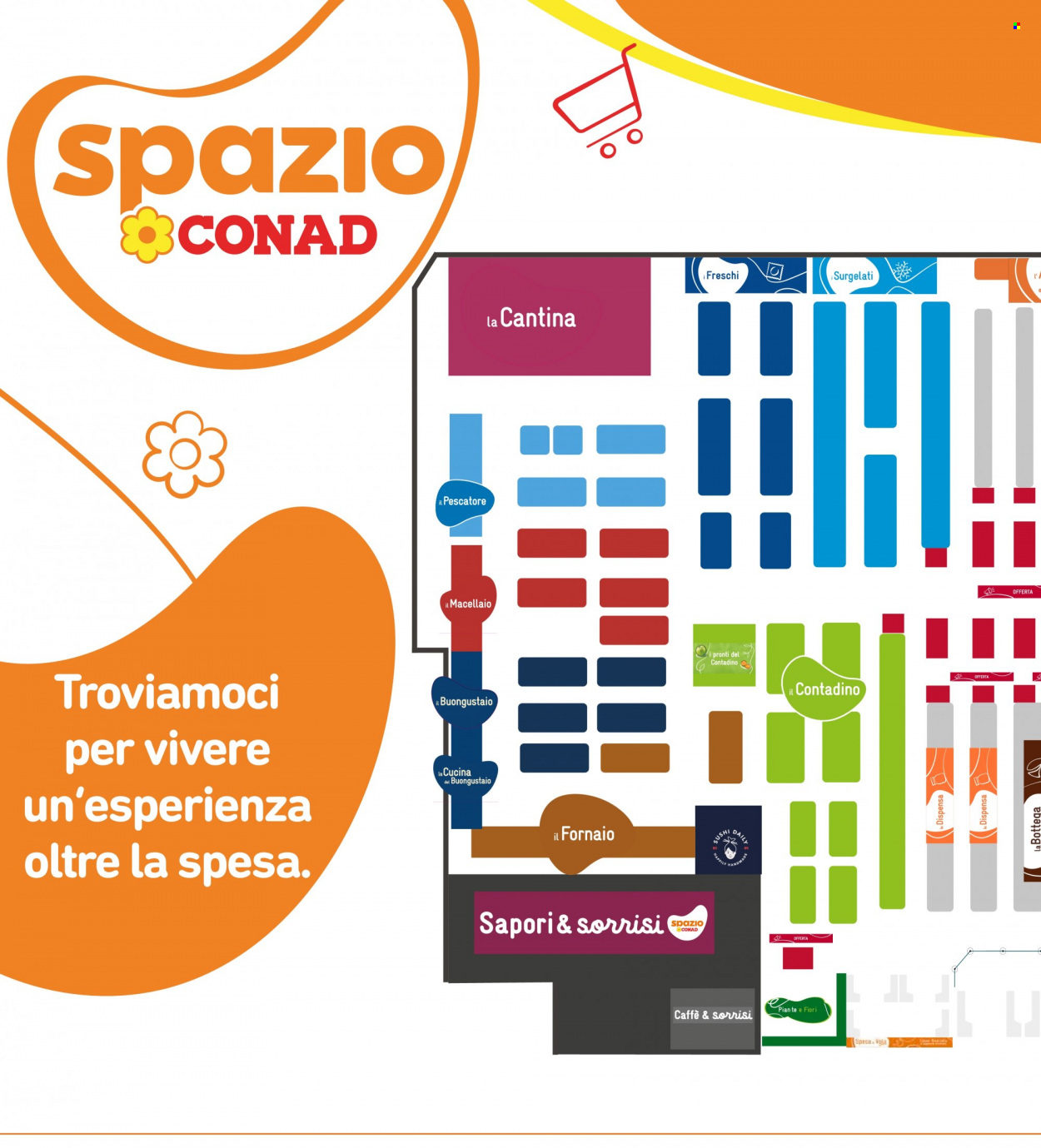 Volantino Conad - 25/5/2023 - 3/6/2023. Pagina 2