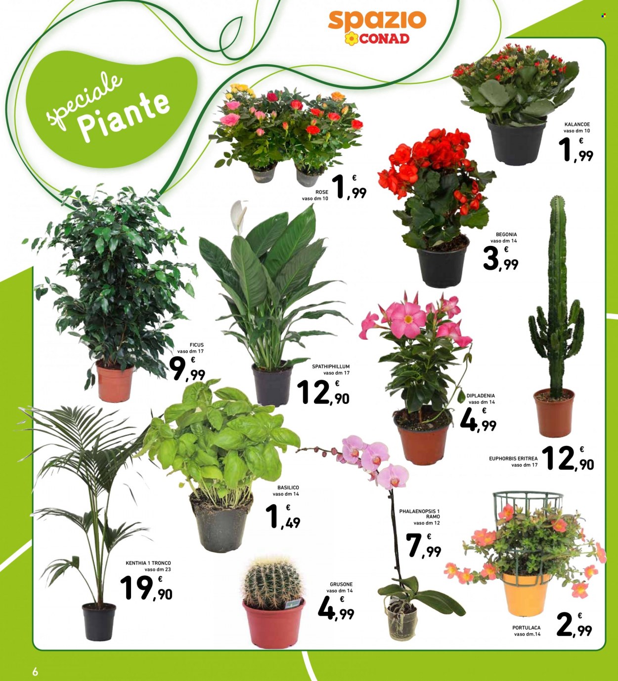 Volantino Conad - 25/5/2023 - 3/6/2023. Pagina 6
