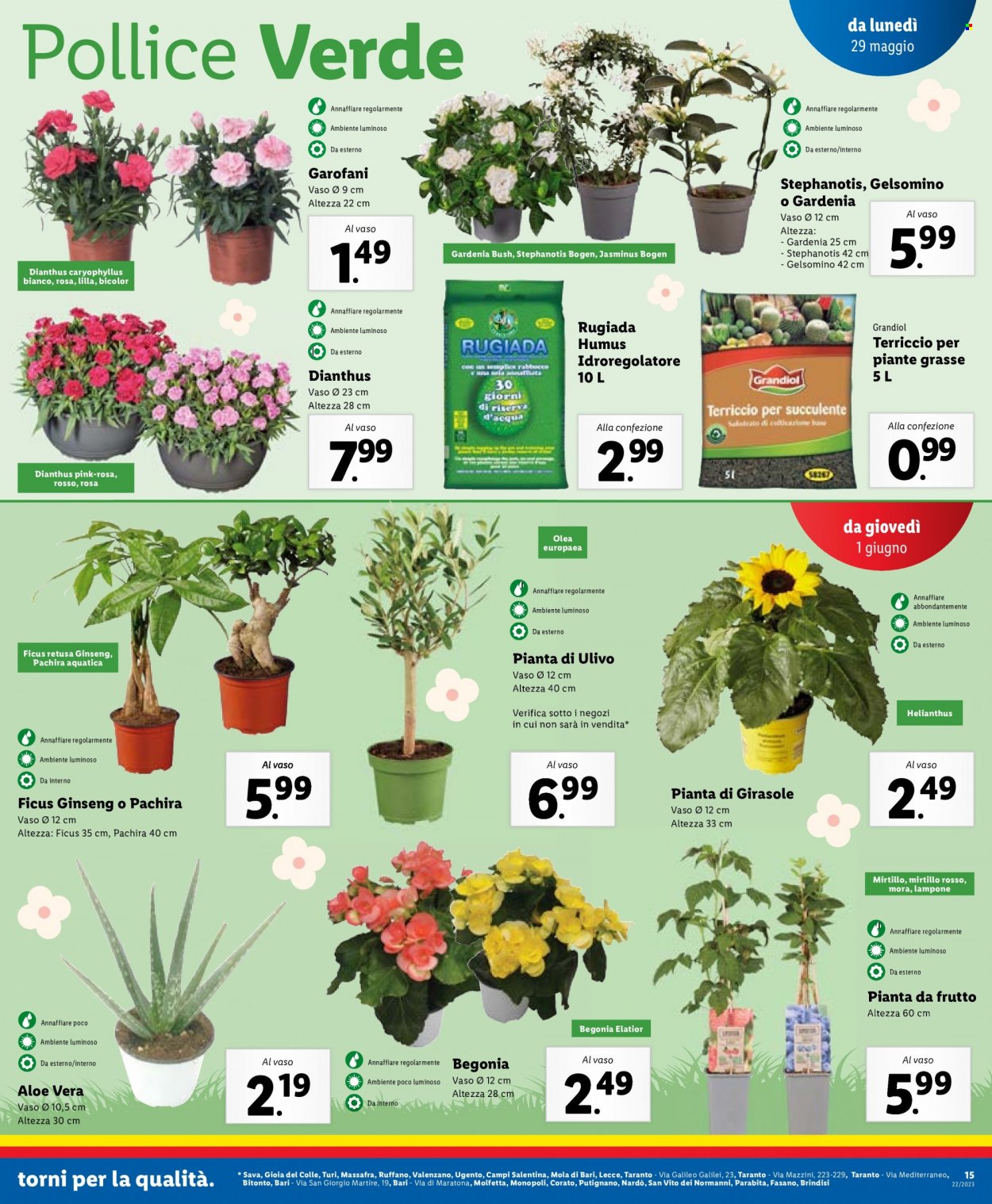 Volantino Lidl - 29/5/2023 - 4/6/2023. Pagina 15