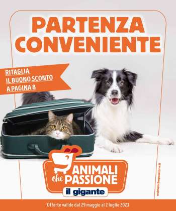 Volantino Il Gigante - 29/5/2023 - 2/6/2023.