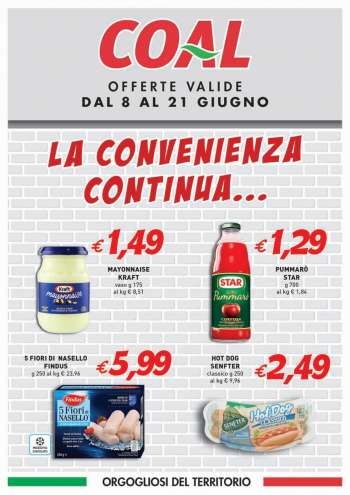 Volantino COAL - 8/6/2023 - 21/6/2023.