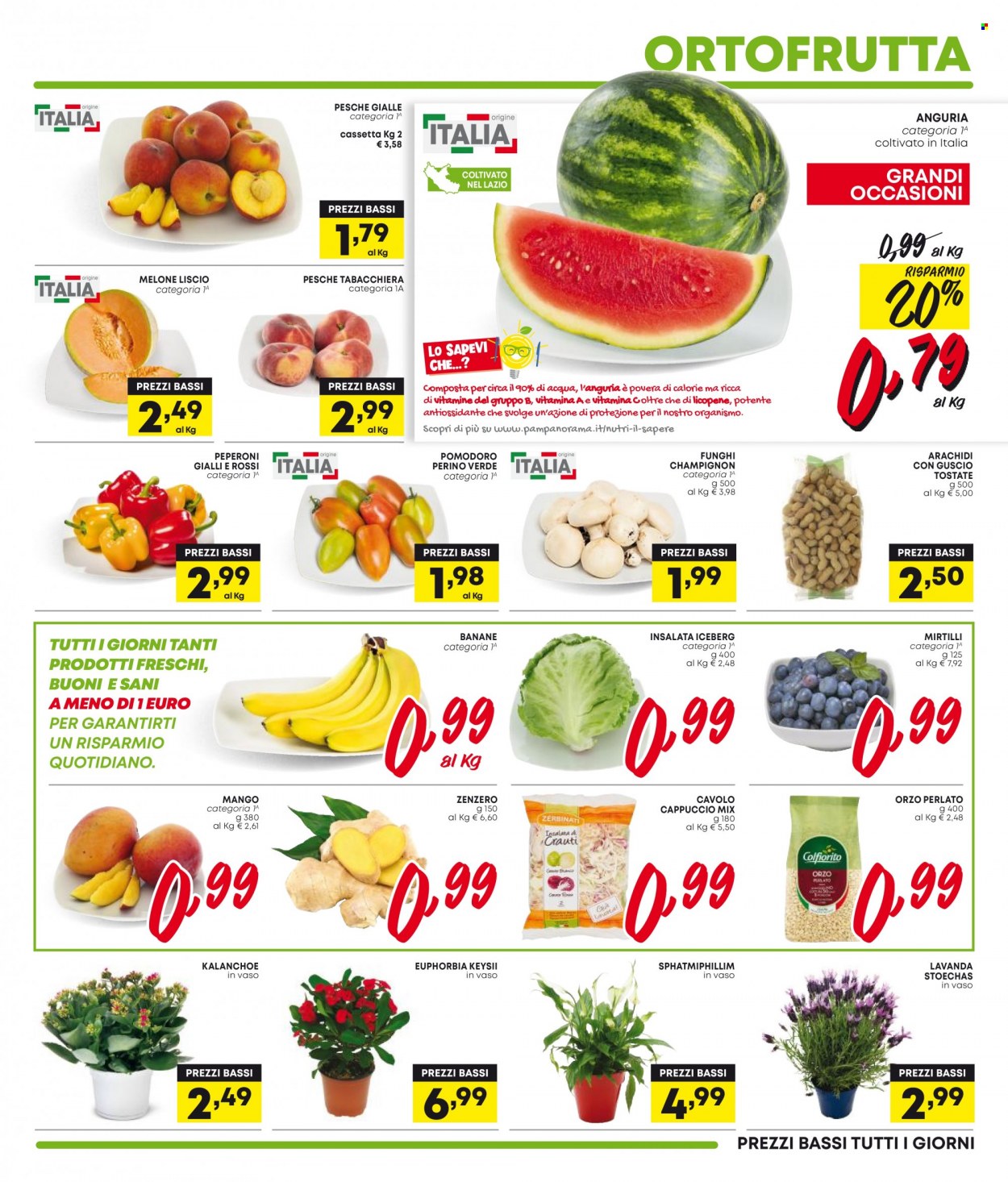 Volantino Pam Panorama - 16/6/2023 - 29/6/2023. Pagina 19