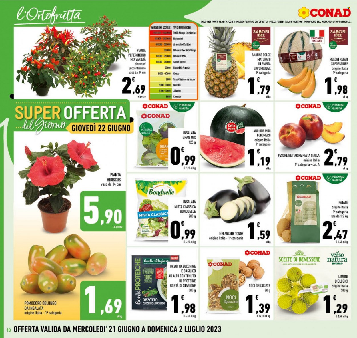 Volantino Conad - 21/6/2023 - 2/7/2023. Pagina 10