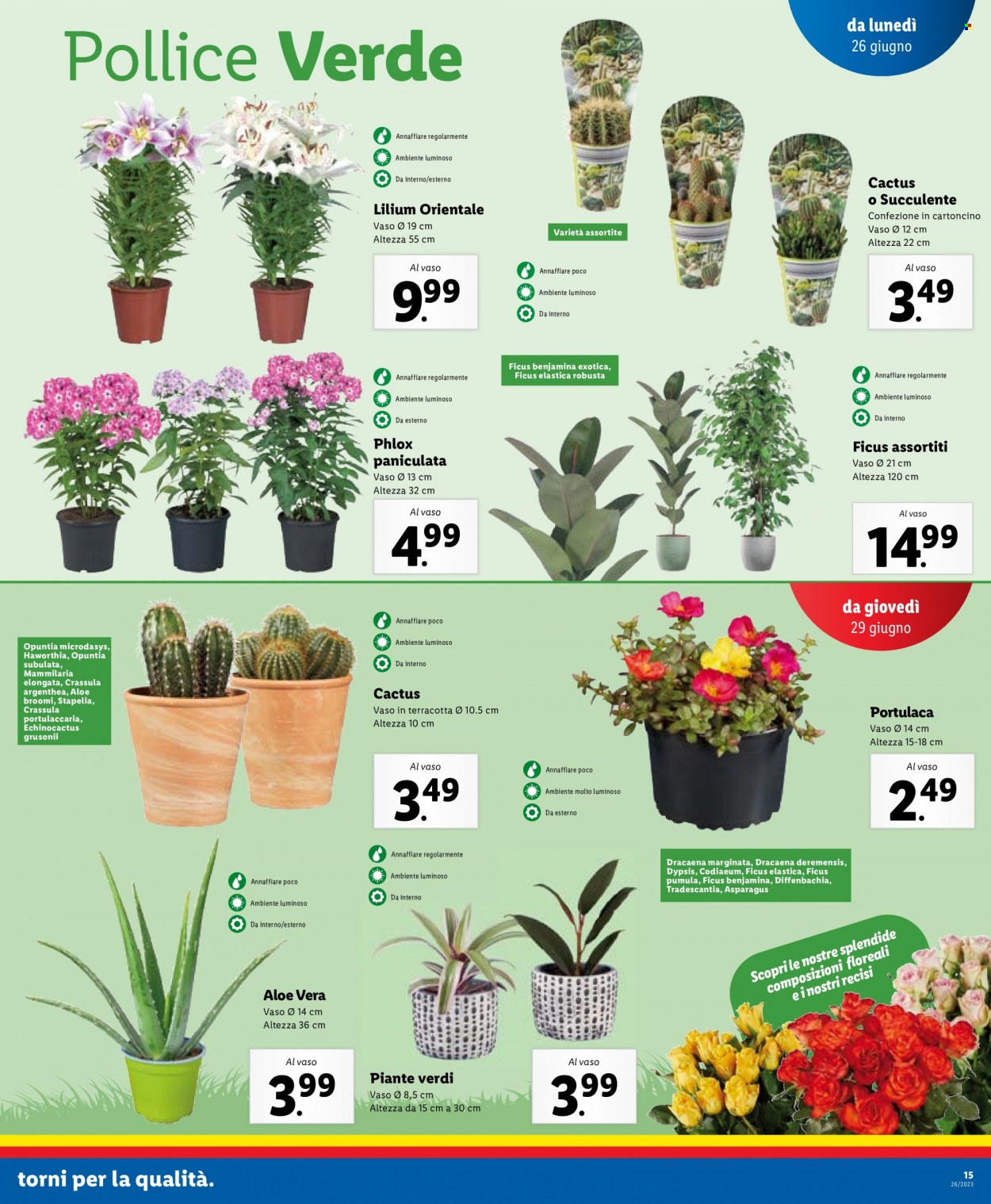 Volantino Lidl - 26/6/2023 - 2/7/2023. Pagina 15