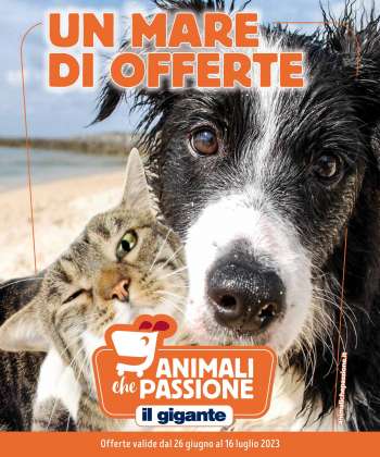 Volantino Il Gigante - 26/6/2023 - 16/7/2023.