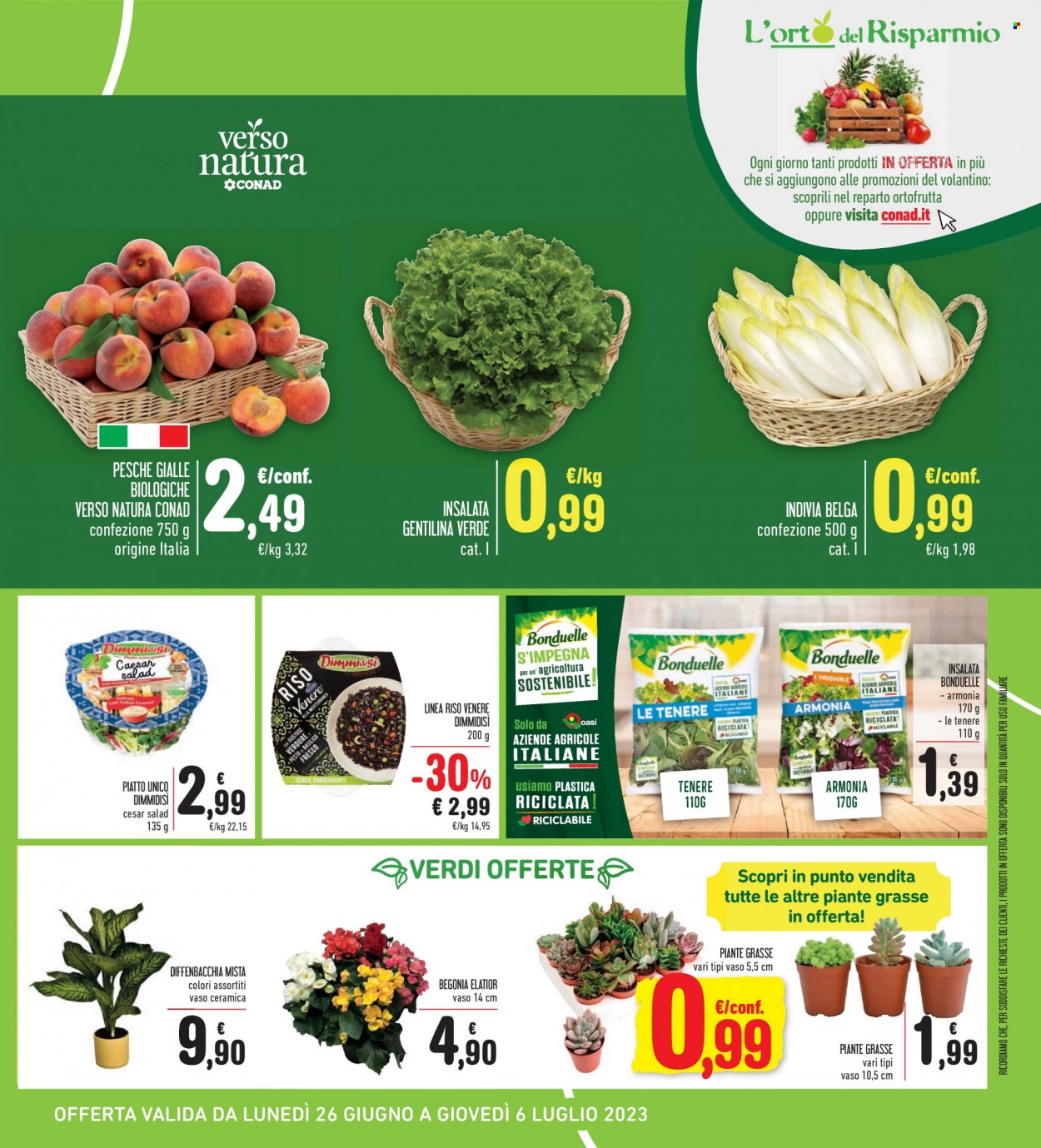 Volantino Spazio Conad - 26/6/2023 - 6/7/2023. Pagina 23