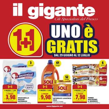 Volantino Il Gigante - 29/6/2023 - 12/7/2023.