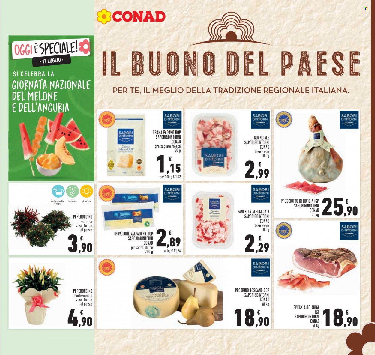 Volantino Conad - 5/7/2023 - 16/7/2023. Pagina 13