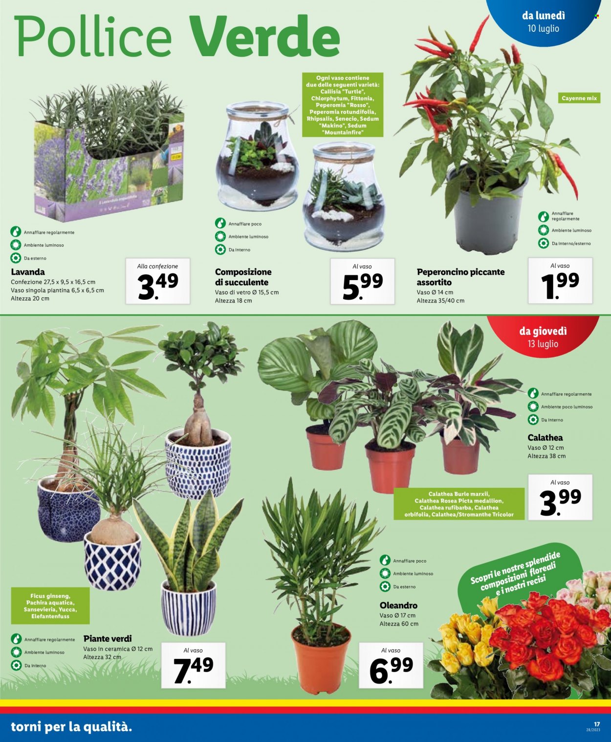 Volantino Lidl - 10/7/2023 - 16/7/2023. Pagina 17