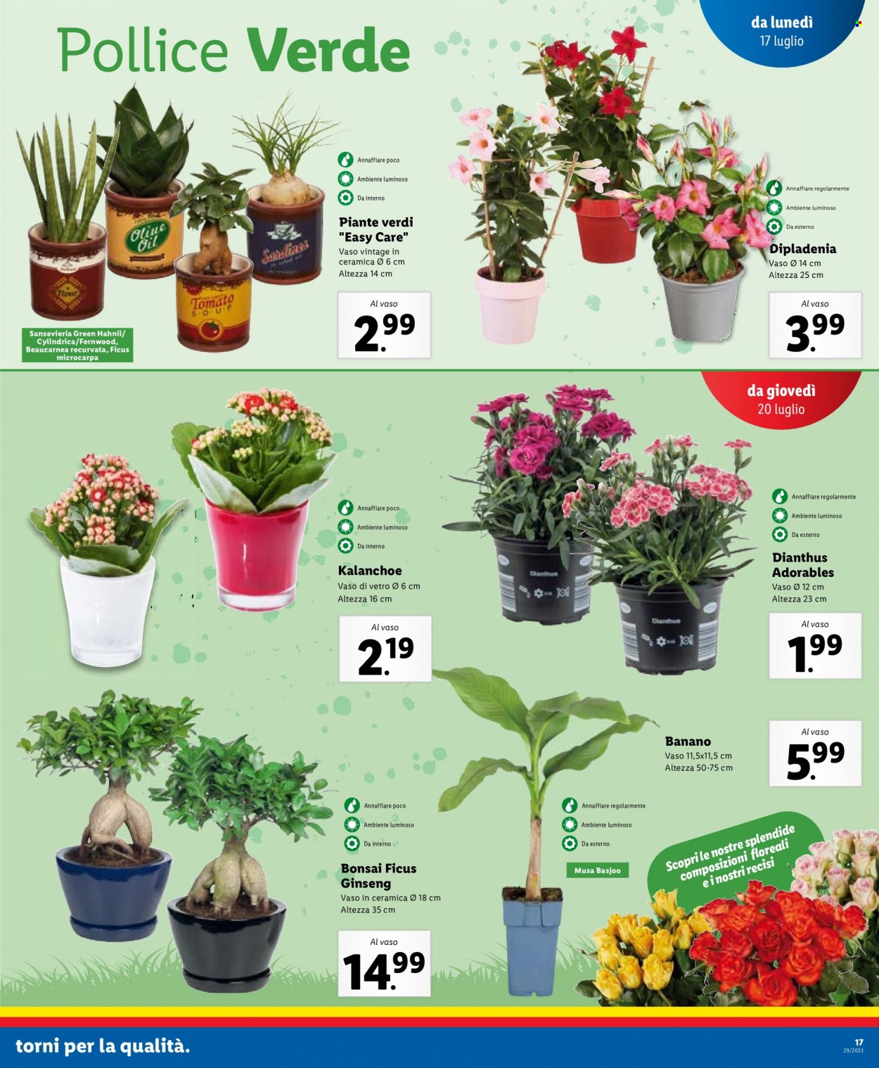 Volantino Lidl - 17/7/2023 - 23/7/2023. Pagina 19