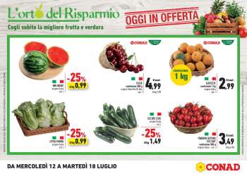 Volantino Conad - 12/7/2023 - 18/7/2023.