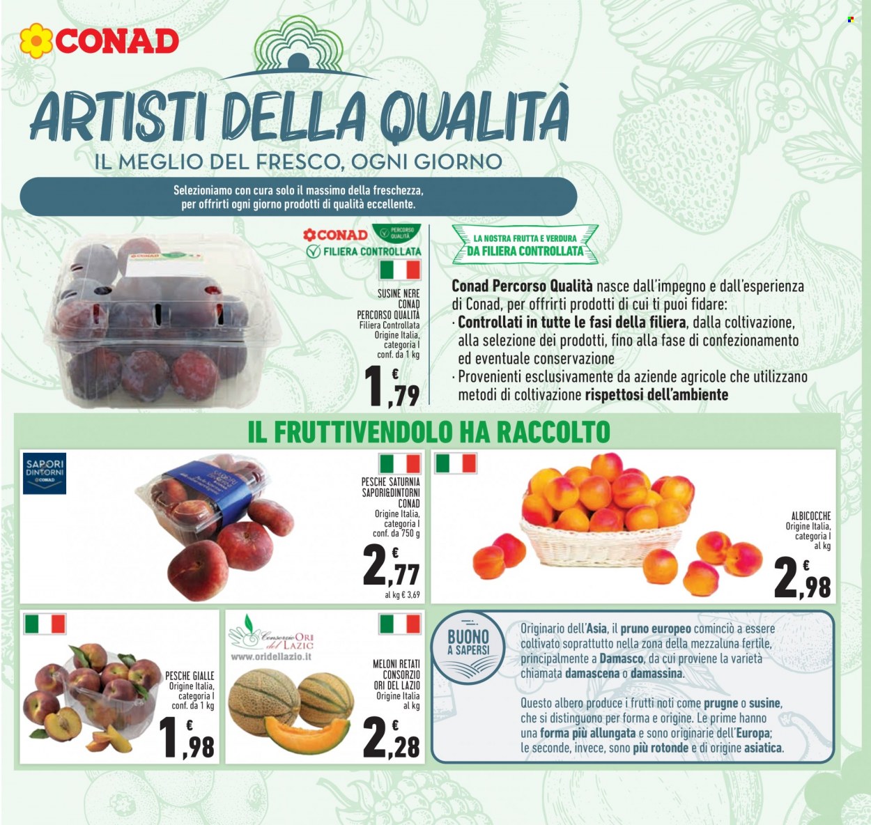 Volantino Conad - 19/7/2023 - 30/7/2023. Pagina 11