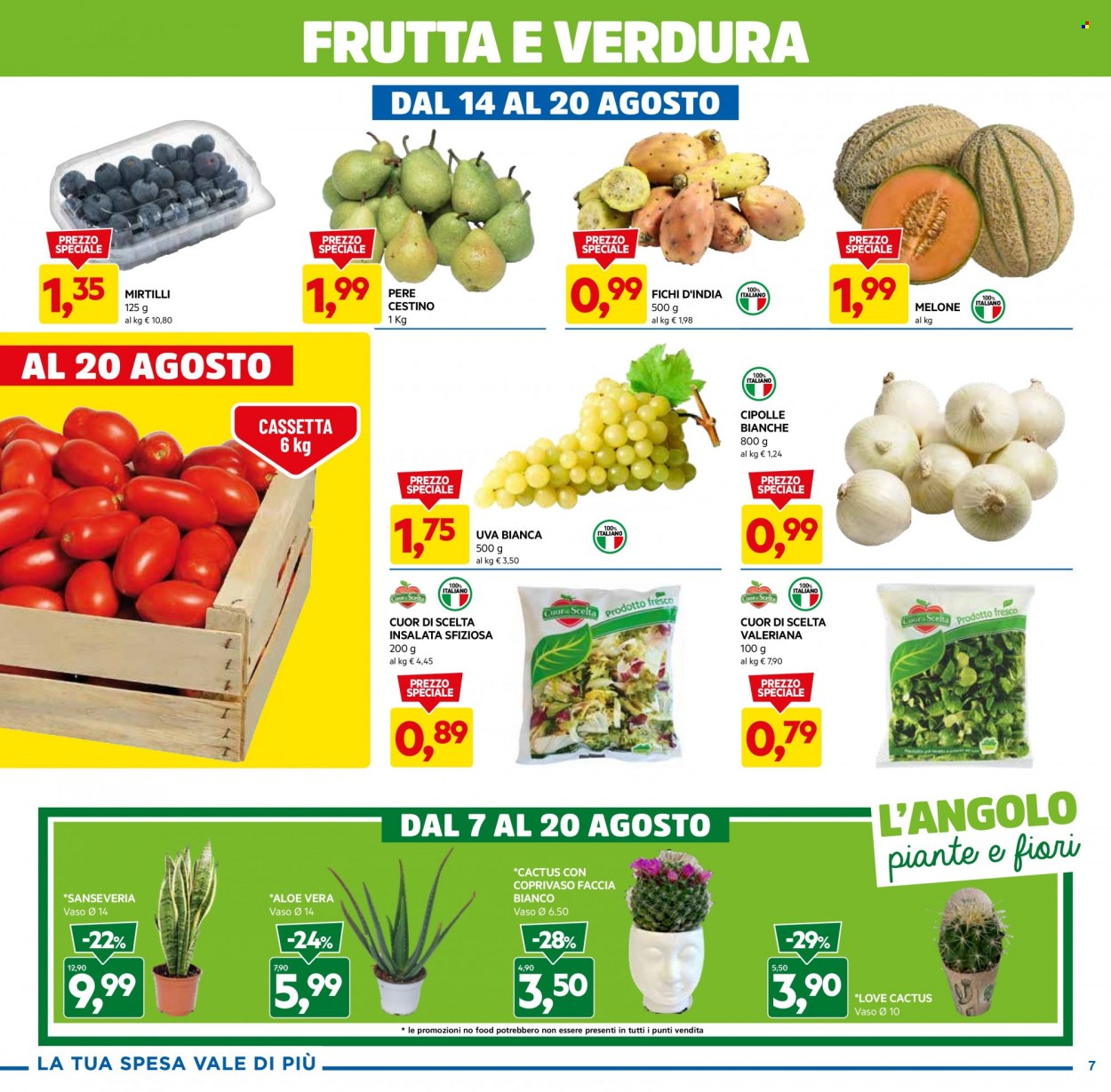 Volantino Dpiù - 7/8/2023 - 20/8/2023. Pagina 7