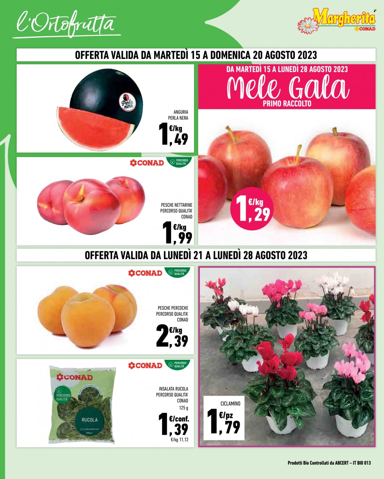 Leták Margherita Conad - 15.8.2023 - 28.8.2023. Strana 2