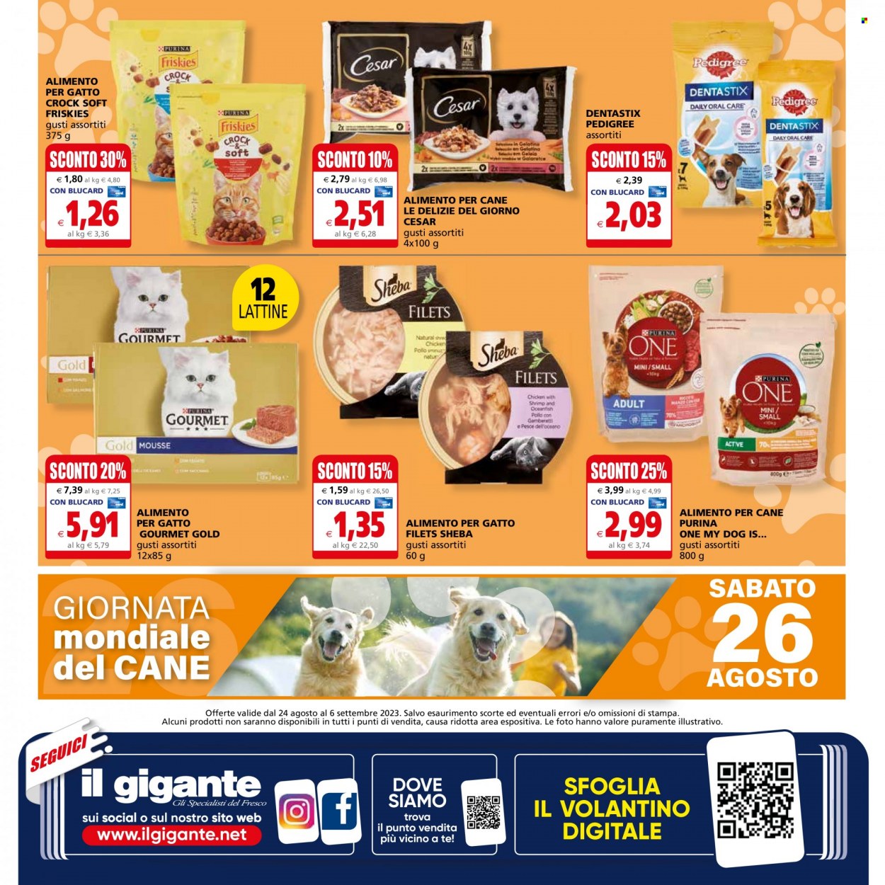 Volantino Il Gigante - 24/8/2023 - 6/9/2023. Pagina 26