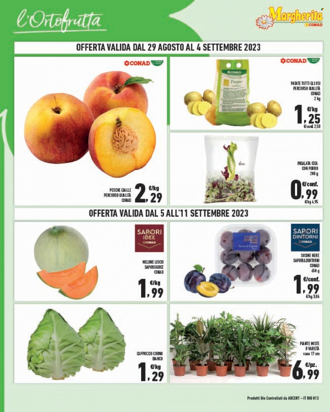 Volantino Margherita Conad - 29/8/2023 - 11/9/2023. Pagina 2