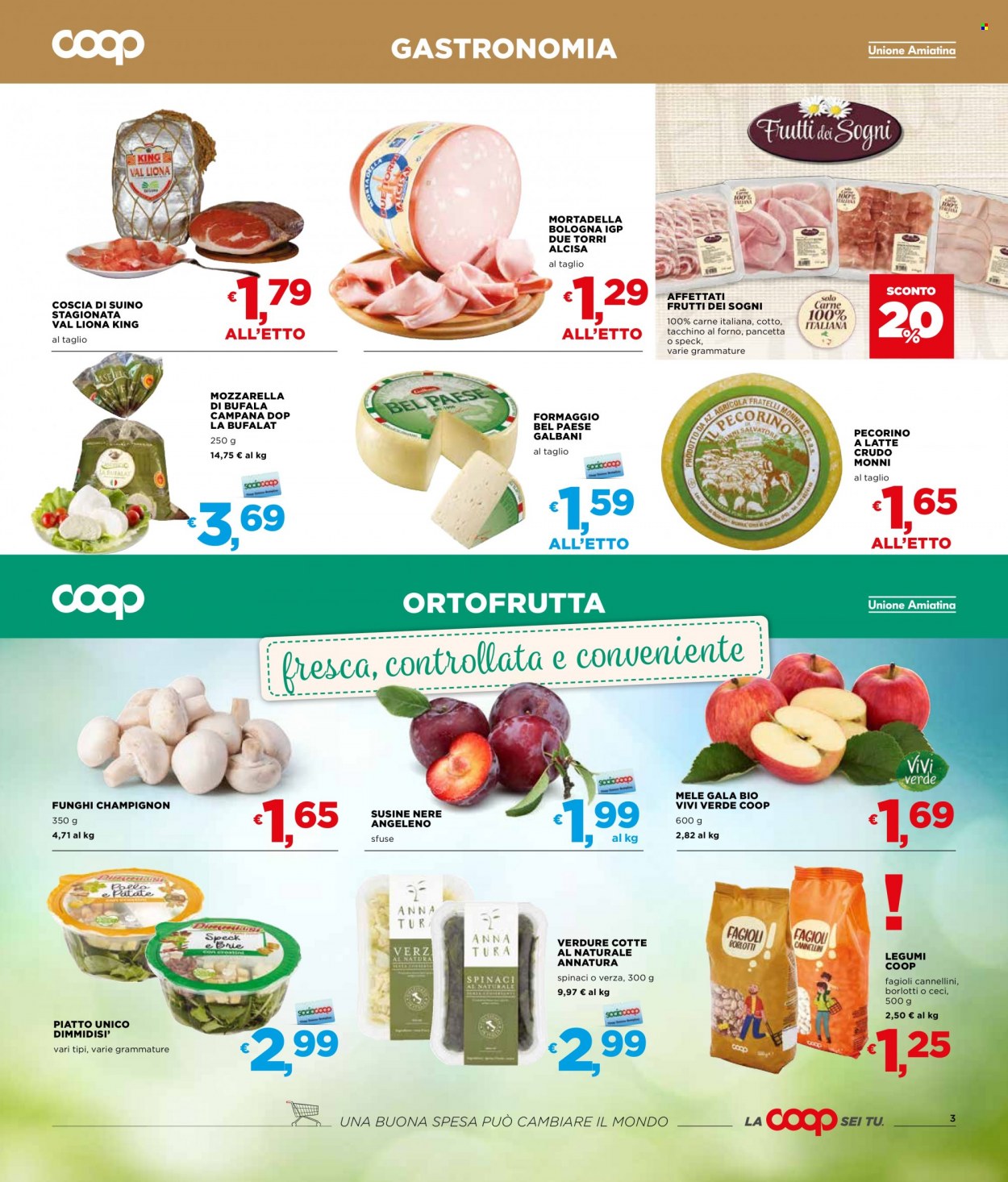 Volantino Coop - 31/8/2023 - 13/9/2023. Pagina 3