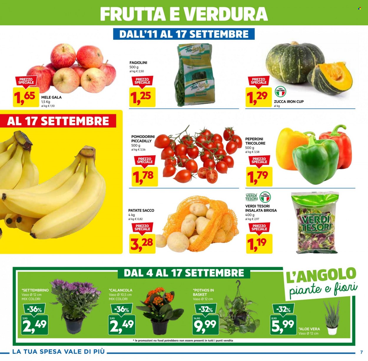 Volantino Dpiù - 4/9/2023 - 17/9/2023. Pagina 7