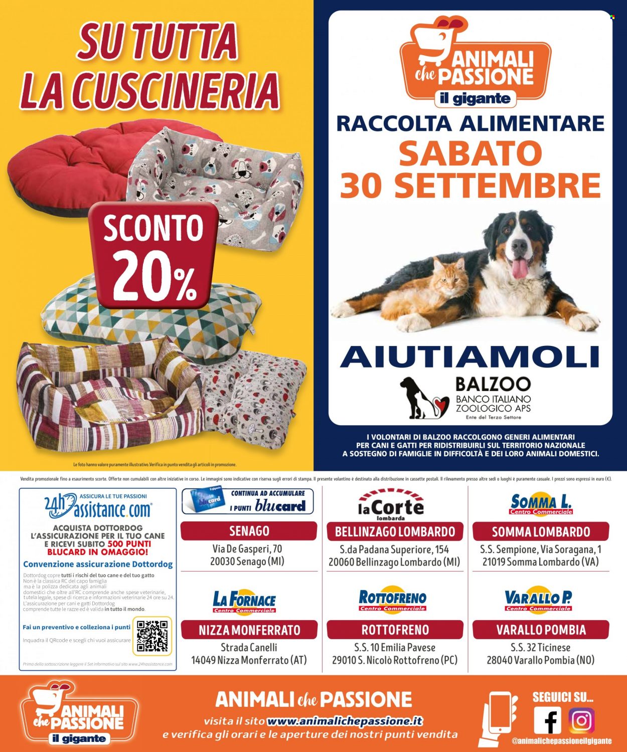 Volantino Il Gigante - 4/9/2023 - 1/10/2023. Pagina 8