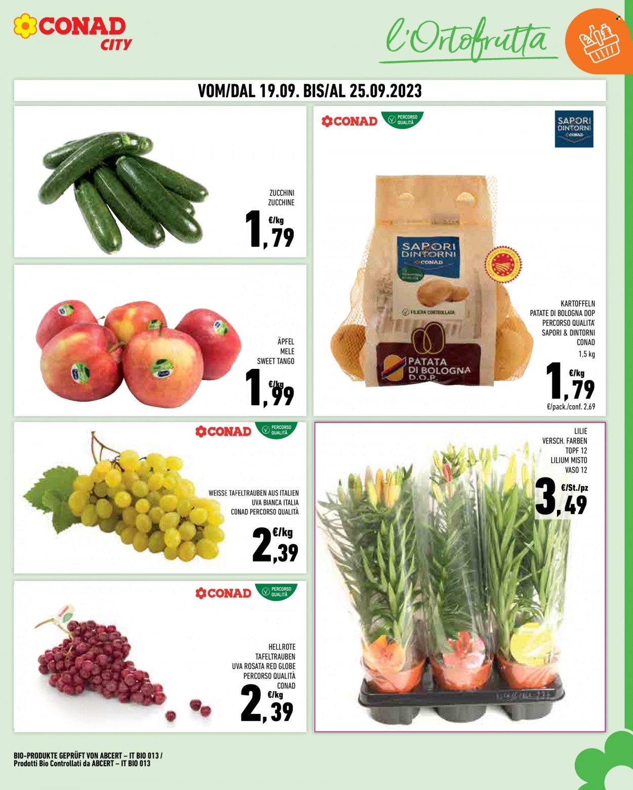 Volantino Conad City - 12/9/2023 - 25/9/2023. Pagina 7