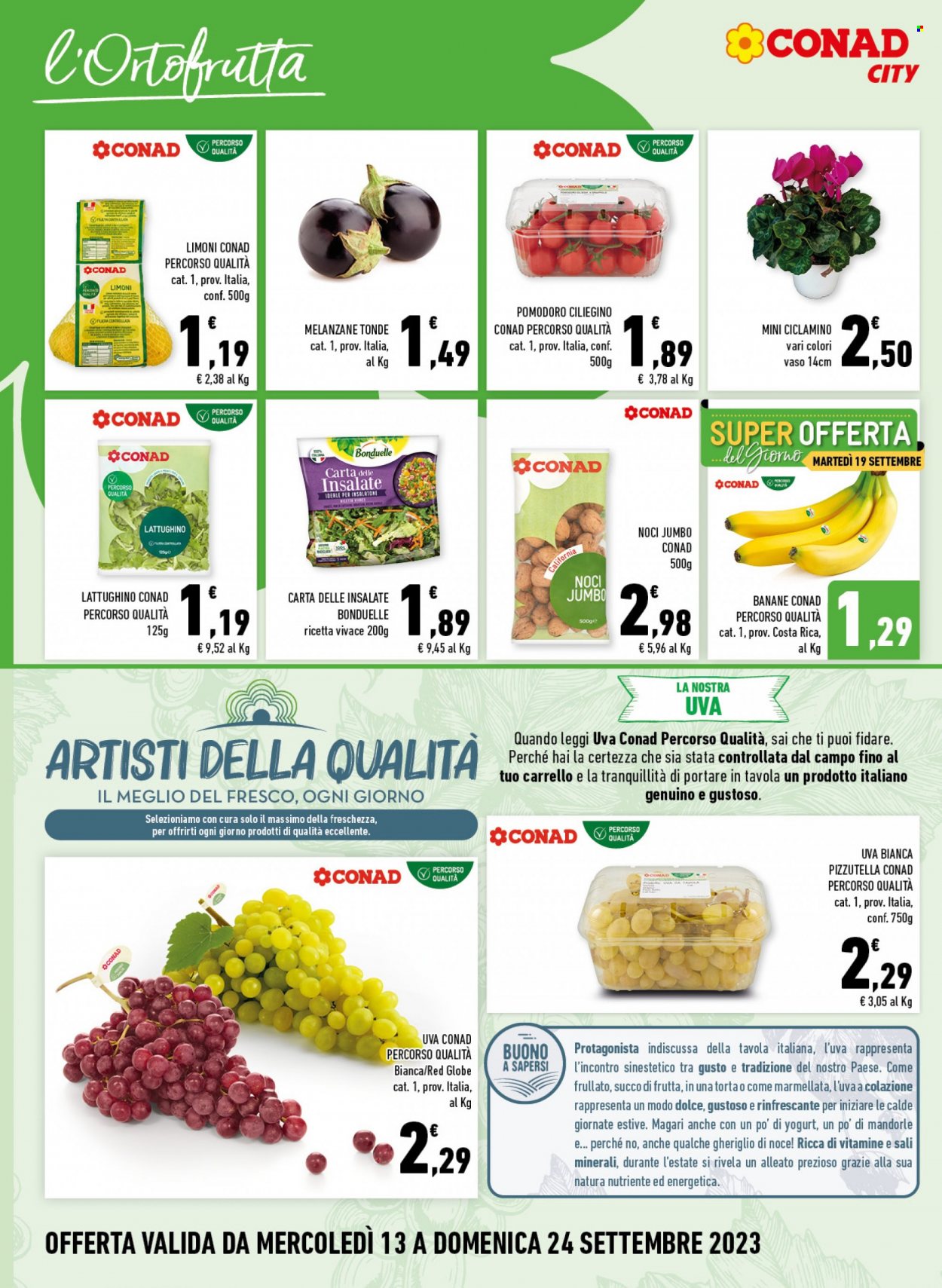 Volantino Conad City - 13/9/2023 - 24/9/2023. Pagina 2