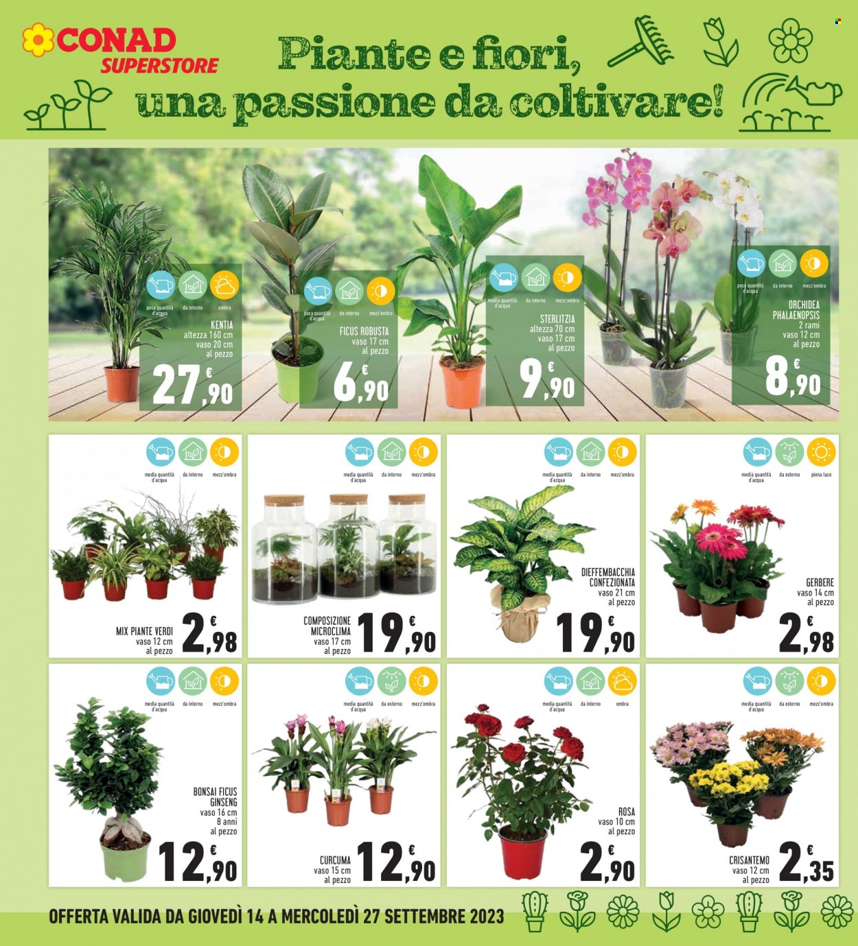 Volantino Conad Superstore - 14/9/2023 - 27/9/2023. Pagina 10