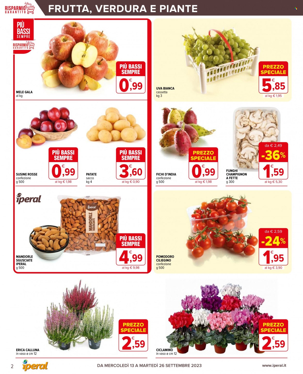 Volantino Iperal - 13/9/2023 - 26/9/2023. Pagina 2
