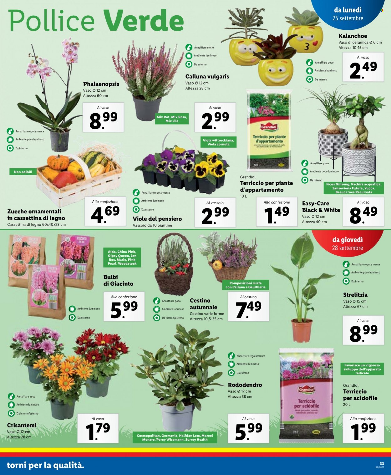 Volantino Lidl - 25/9/2023 - 1/10/2023. Pagina 13