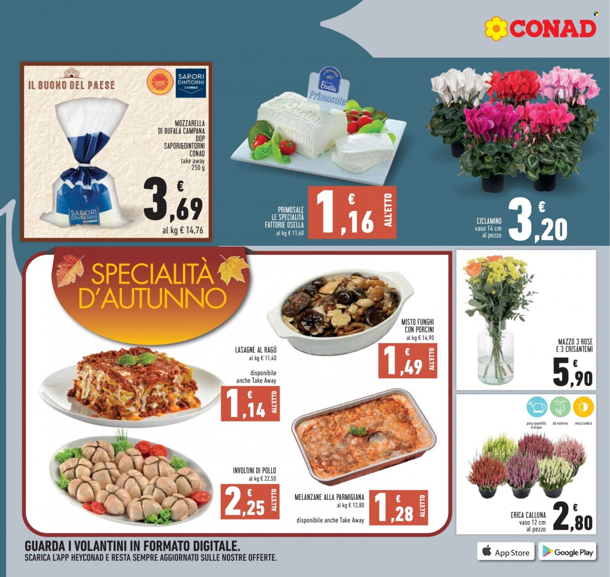 Volantino Conad - 28/9/2023 - 11/10/2023. Pagina 12
