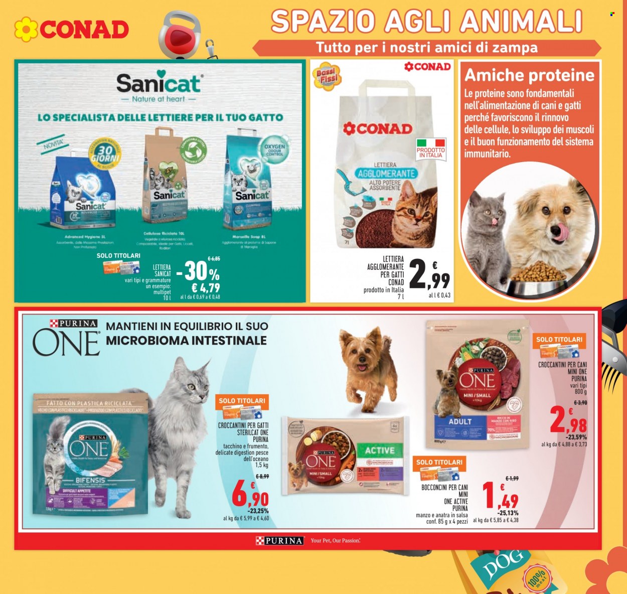 Volantino Conad - 27/9/2023 - 8/10/2023. Pagina 19