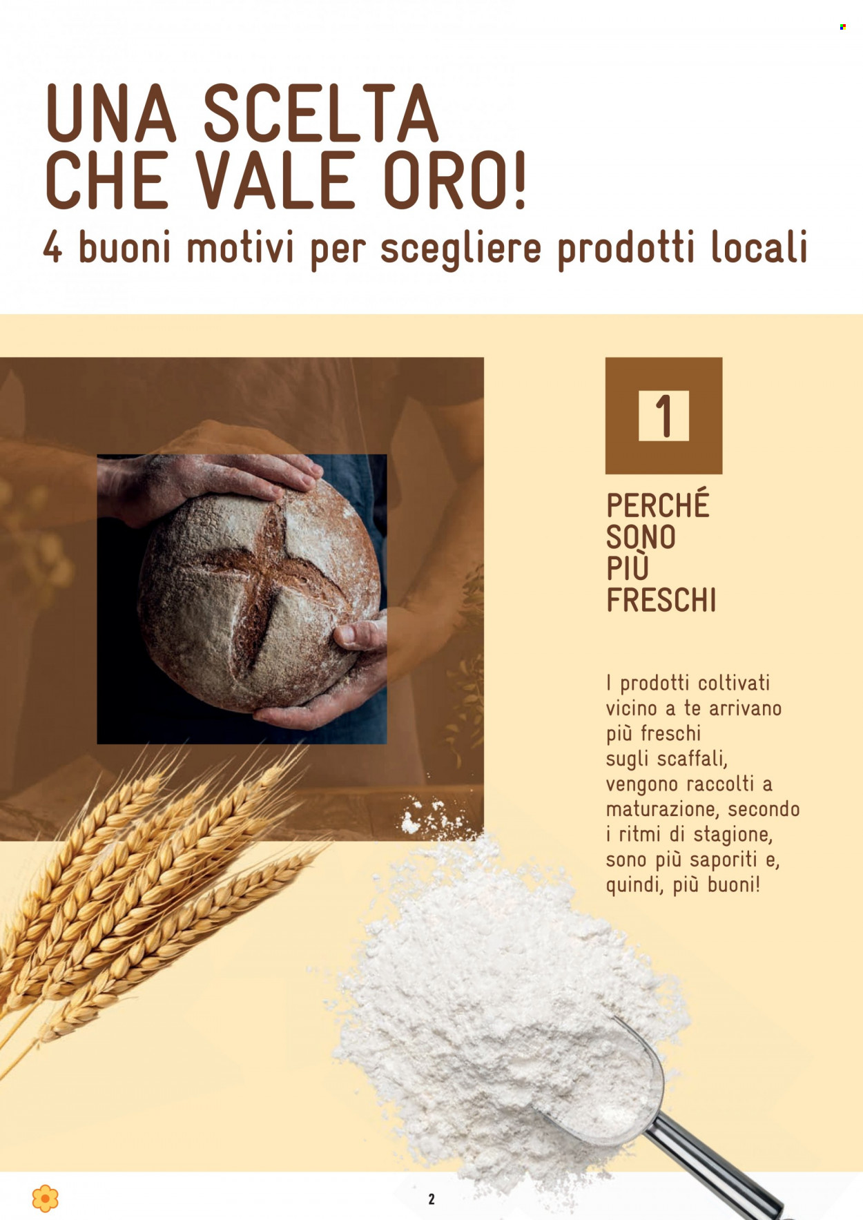 Leták Conad - 1.10.2023 - 31.10.2023. Strana 2