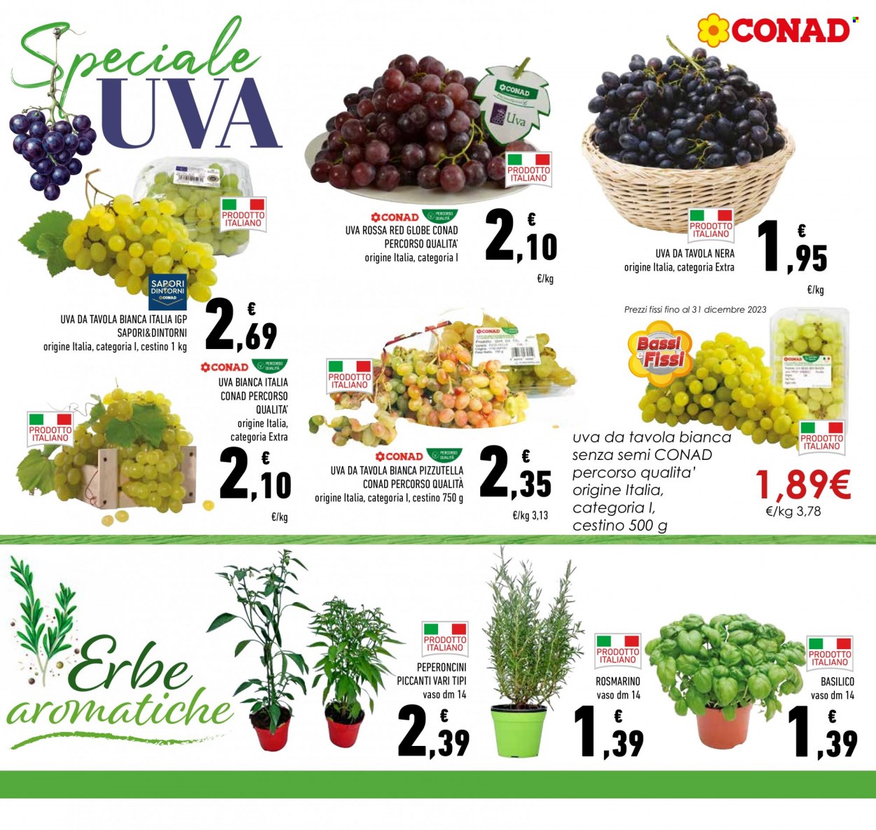 Volantino Conad - 28/9/2023 - 7/10/2023. Pagina 7