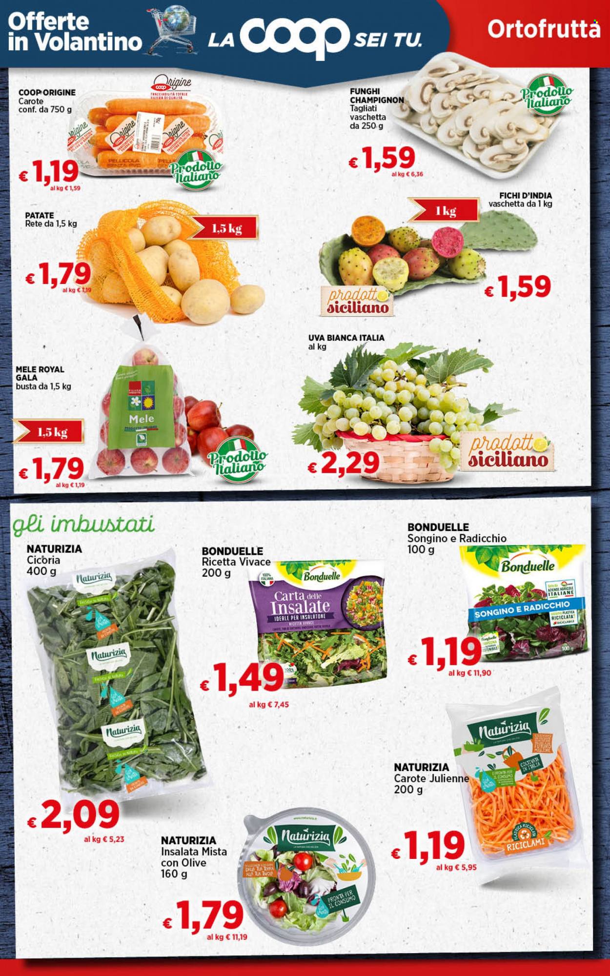 Leták Coop - 6.10.2023 - 12.10.2023. Strana 17