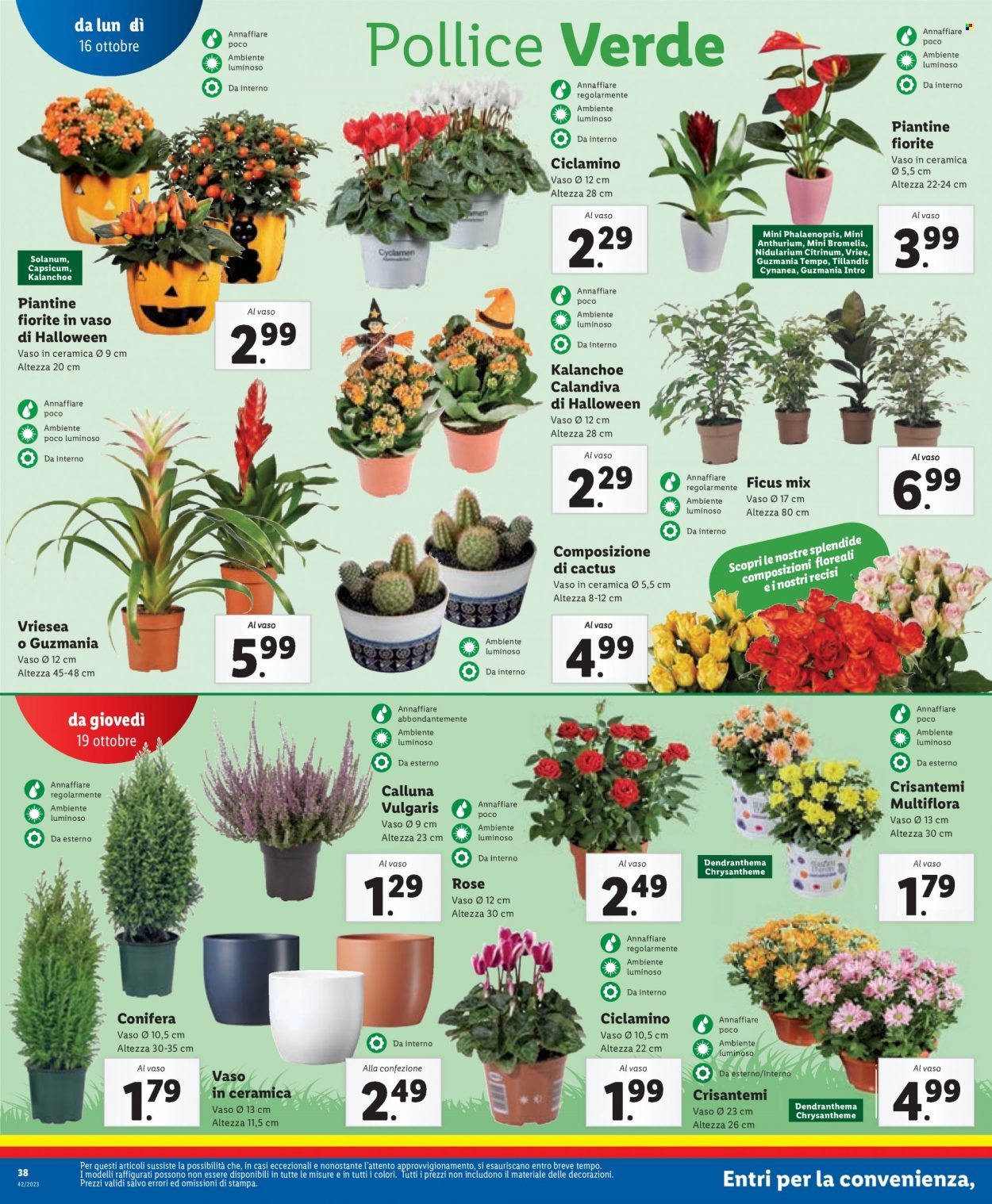 Volantino Lidl - 16/10/2023 - 22/10/2023. Pagina 38